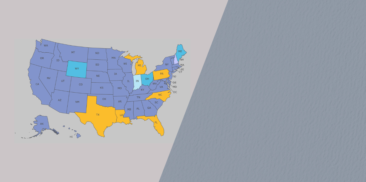 Map of US showing arts standards revision progress